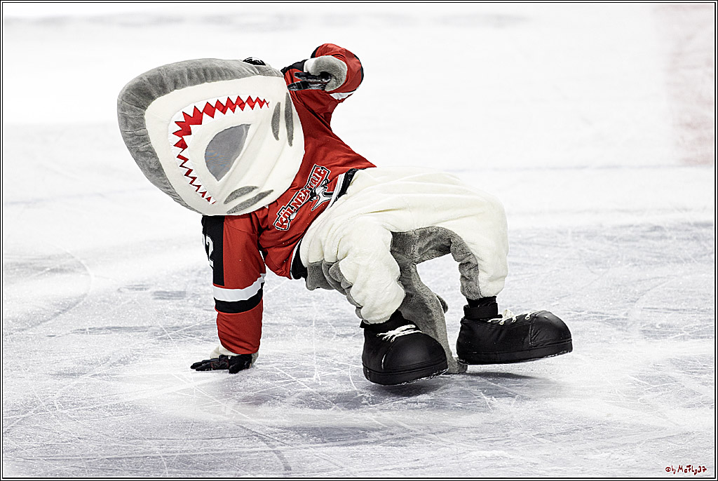 PENNY DEL;  Koelner Haie - Iserlohn Roosters; Koeln, 20.02.2022